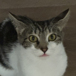 Fundraising Page: Gerrit Hansen